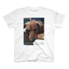 アマリリスあっこのビビり犬  ふ〜ちゃん Regular Fit T-Shirt