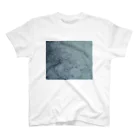 あーきぺらごarchipelagoの温泉析出物 Regular Fit T-Shirt