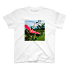 チェキTのHIBISCUS スタンダードTシャツ