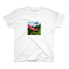 チェキTのHIBISCUS Regular Fit T-Shirt