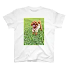 Happy Daysのクローバーと子犬 Regular Fit T-Shirt