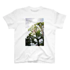 waa WORKSのtree スタンダードTシャツ