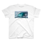 hidepx☻のサーフ　surf   このあと。。。 スタンダードTシャツ