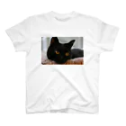 polepole-officeの黒猫ヴィヴィの日向ぼっこ スタンダードTシャツ