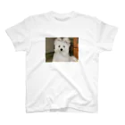 sctcの犬 スタンダードTシャツ