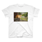 拓庵の夕涼み猫 ～黄昏～ Regular Fit T-Shirt