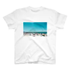 つかもとの内海 Regular Fit T-Shirt