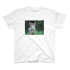 のら猫屋さんののら仔猫 Regular Fit T-Shirt