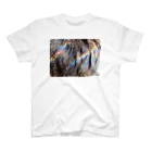 Cat in the Light（光の中の猫）の【猫】キジトラ模様と虹 スタンダードTシャツ