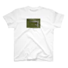 CHURCH clothesのCHURCH FILM 19aw  スタンダードTシャツ