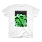 koasaichiのgreen Regular Fit T-Shirt