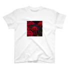 くさなぎ®︎🌧️のRed Spyder Lily shirt スタンダードTシャツ