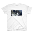 saechaの猫 Tシャツ スタンダードTシャツ