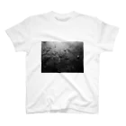 Same Sky.のDark Beach. スタンダードTシャツ