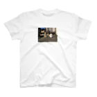 ashoのばあちゃん家の猫ver1 Regular Fit T-Shirt