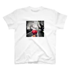 diploのApple Candee Regular Fit T-Shirt