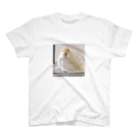 usa3104のオカメインコのムーン羽繕い中 スタンダードTシャツ