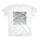 arinco-photo-itemsのキラキラ-snow Regular Fit T-Shirt