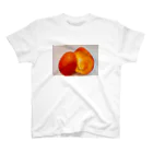 aozora308のマンゴーの断面 スタンダードTシャツ