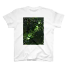 sun-sun_taiyoのしんりょく Regular Fit T-Shirt