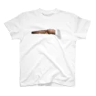 BEARGUNDYのナゲット Regular Fit T-Shirt