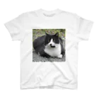 ENDER_007_Sの野良猫_正 スタンダードTシャツ