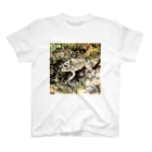 Fantastic FrogのFantastic Frog -Dry Moss Version- スタンダードTシャツ
