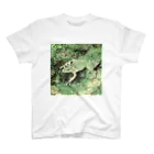 Fantastic FrogのFantastic Frog -Paper Money Version- Regular Fit T-Shirt