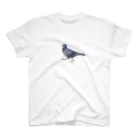 行方不明のドバトが見つかったの行方不明のドバト_鳩 Regular Fit T-Shirt