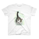 きなこのしまねこ スタンダードTシャツ