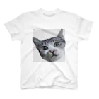 Una_nekoの★猫★ショコちゃんシリーズ スタンダードTシャツ