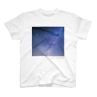 flip flapのthe stars Ⅰ スタンダードTシャツ