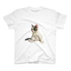 cat.kotetsuのねこのこてつ スタンダードTシャツ