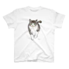 三毛猫商店の猫散歩 スタンダードTシャツ