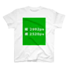 3rd shopのTシャツ スタンダードTシャツ