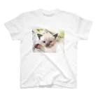 Siamese cat シャムのシャムBaby スタンダードTシャツ