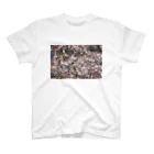 hiroki-naraの光景　sight0053　桜　2015_009　サクラ スタンダードTシャツ