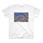 hiroki-naraの光景　sight0069　桜　2015_014　サクラ  スタンダードTシャツ