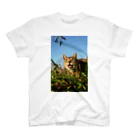 シッポ追いの猫写真店の遊ぼうぜ！ スタンダードTシャツ