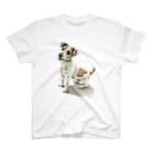 Momojiの犬画のジャックラッセルテリア3 スタンダードTシャツ