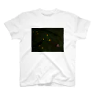 hiroki-naraの桜　サクラ　タンポポ　cherry blossom DATA_P_114　春　spring スタンダードTシャツ