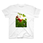 hiroki-naraのバラ　薔薇　rose DATA_P_117 スタンダードTシャツ