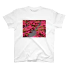 hiroki-naraのツツジ　azalea　DATA_P_118 スタンダードTシャツ