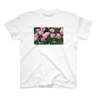 オオイワニコウ/Nikoのチューリップ　 スタンダードTシャツ