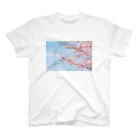 Photographer non.'s shopの観覧車と桜。 スタンダードTシャツ