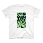 イエネコの植物　ツツジ スタンダードTシャツ