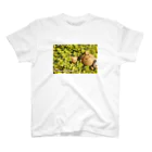 素材屋405番地の多肉植物とウゲロくま スタンダードTシャツ