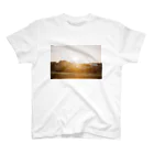 はち / きまぐれハチログのフィルム 夕焼け スタンダードTシャツ