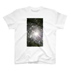 Rの太陽の光が当たる木 Regular Fit T-Shirt