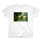 かぴばらのFLOWER-きいろ- スタンダードTシャツ